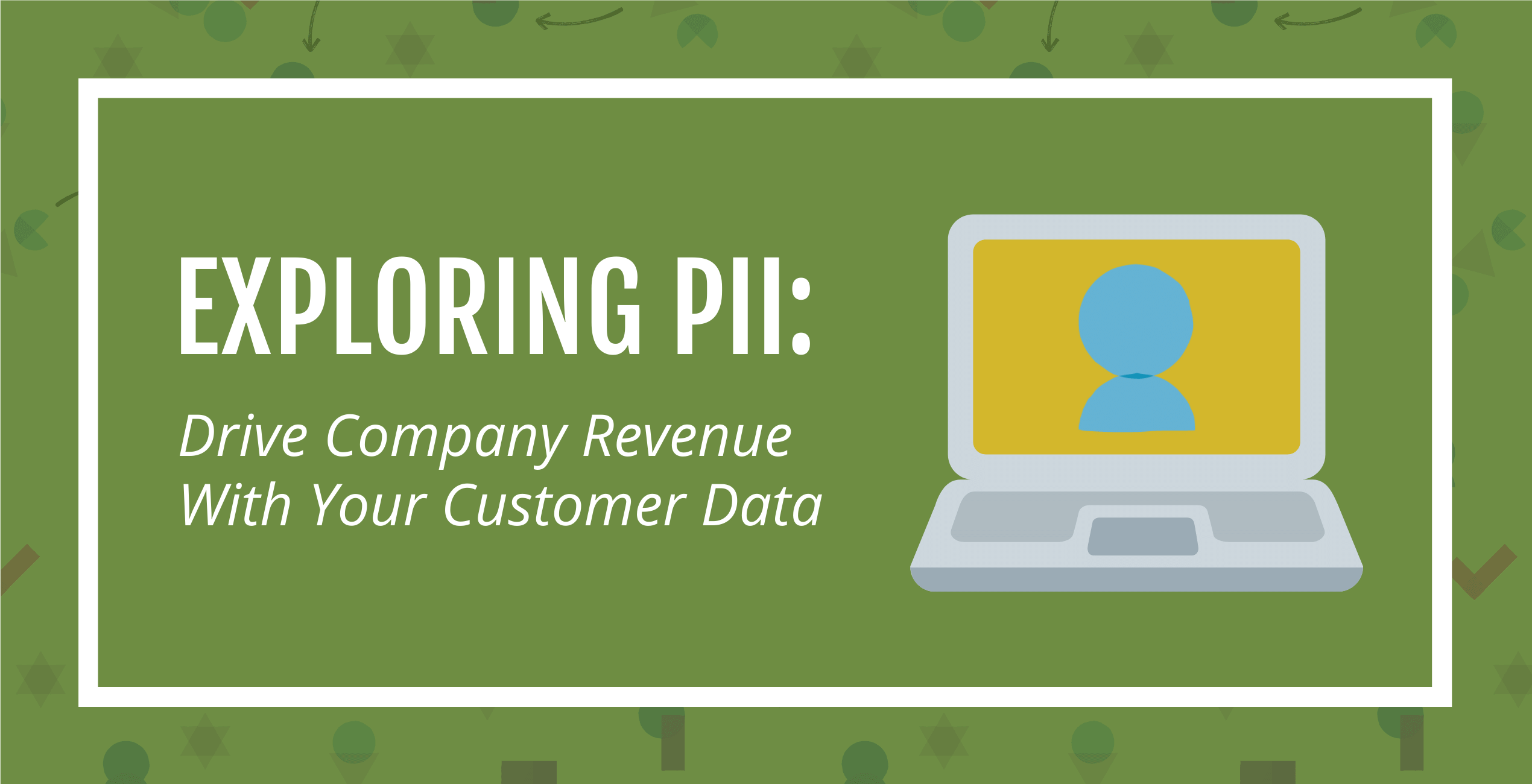 Personally Identifiable Information (PII) – Drive Revenue With Your Customer Data