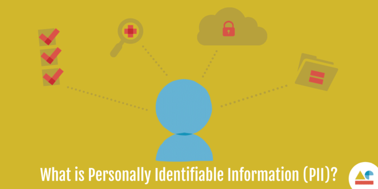 Personally Identifiable Information (PII) – Drive Revenue With Your ...