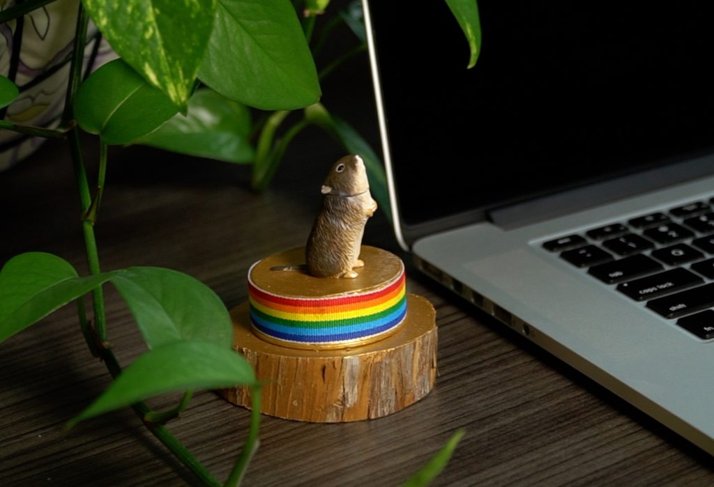 The rainbow vole award