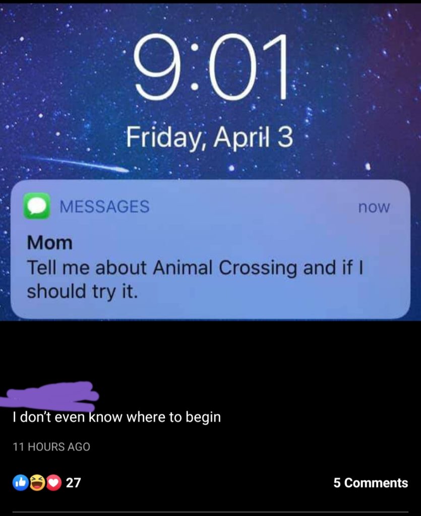 Redditor's mom sent them a text about Animal Crossing